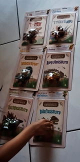 Katia M.S. review photo