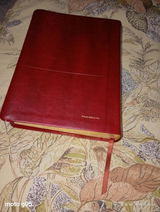 Anisio D. review photo