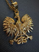 Andrzej review photo