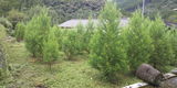匿名 review photo
