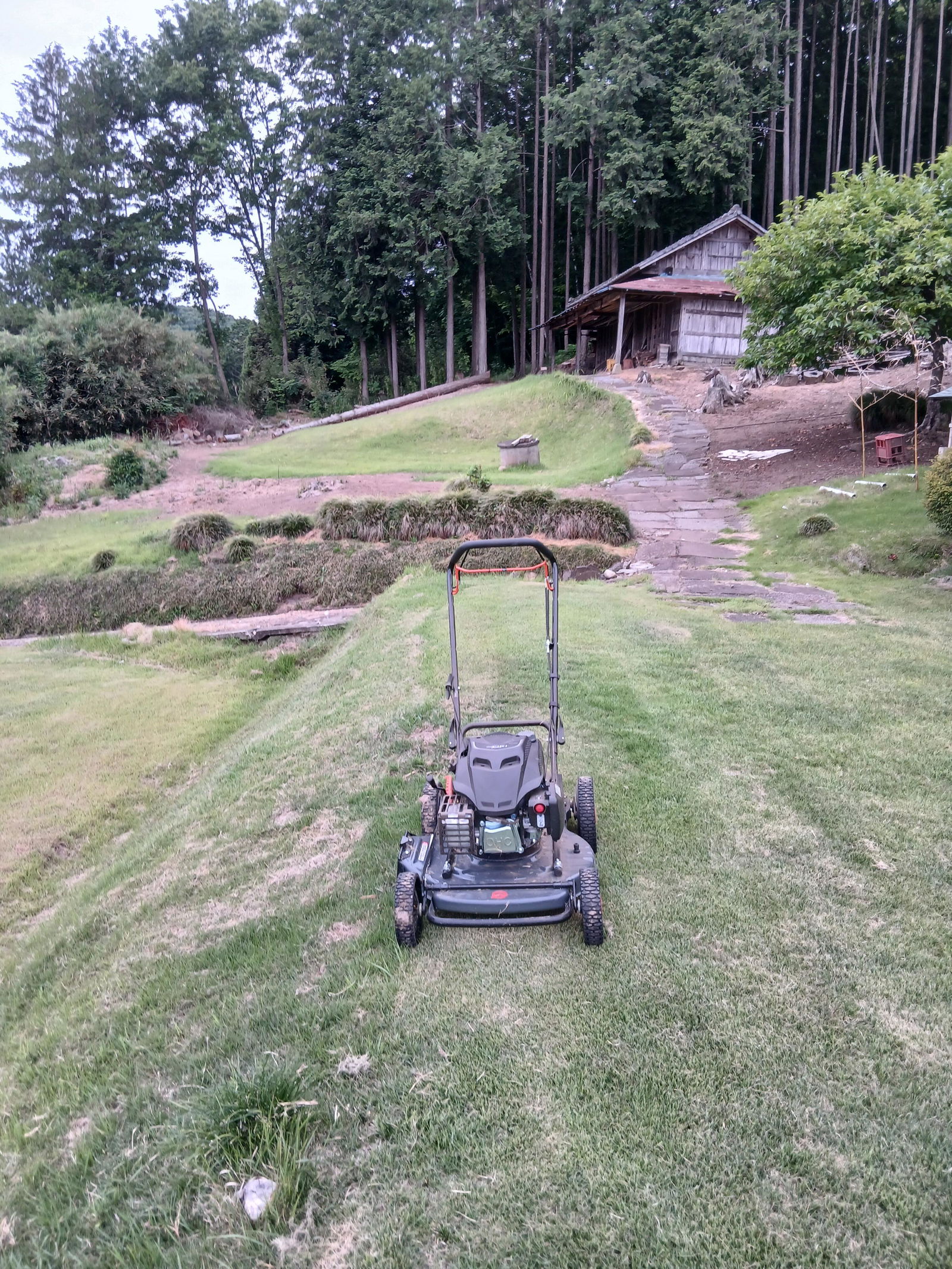 PLOW クサノザウルス 草刈り機 WGC530 GEN3 刈幅53cm MEIKIエンジン