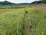 良寛 只野 review photo