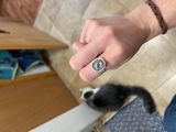 Corina B. review photo