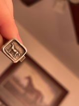 Cady C. review photo