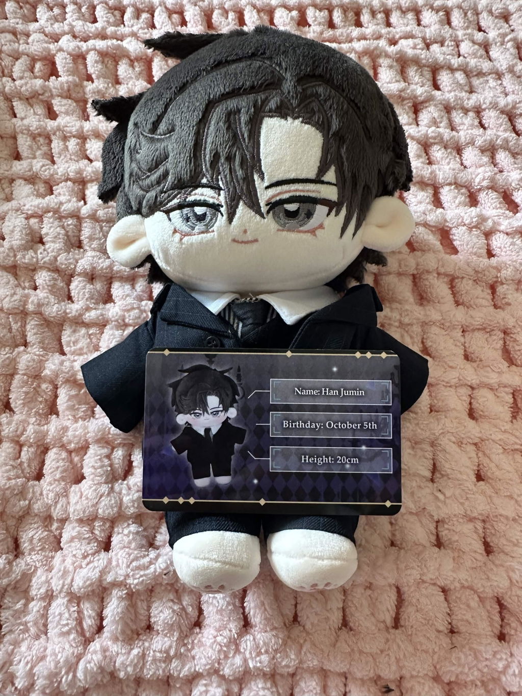 【Revival Success】【Few In Stock】PLUSH WONDERLAND Cat Lover Plushie Cotton Doll FANMADE 20CM