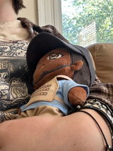 Customer review photo
