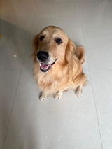 Aditi review photo