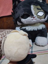 mcaluu review photo