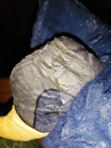 Jordan Cousty review photo