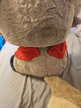 ZeeS review photo