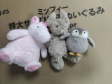 L.H. review photo
