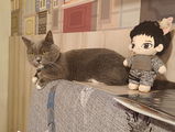 A.S. review photo