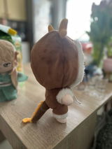Rin review photo