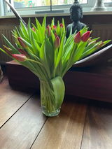 Anneke van der Does review photo
