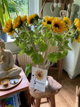 Linda Polman review photo