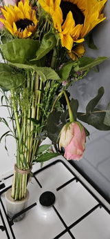 Petra van der Elst review photo