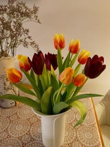 Floriana Noort review photo