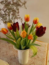 Floriana Noort review photo