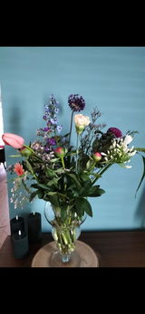 Loes review photo