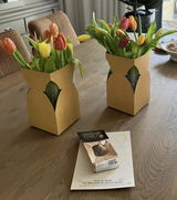 Isa Van Der Meer review photo