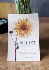 T. Zijlstra review photo