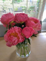 Rosa review photo