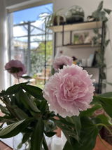 Polina Been review photo