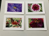 Debra Kavanaugh review photo