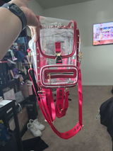 Janyra Chihuahua review photo