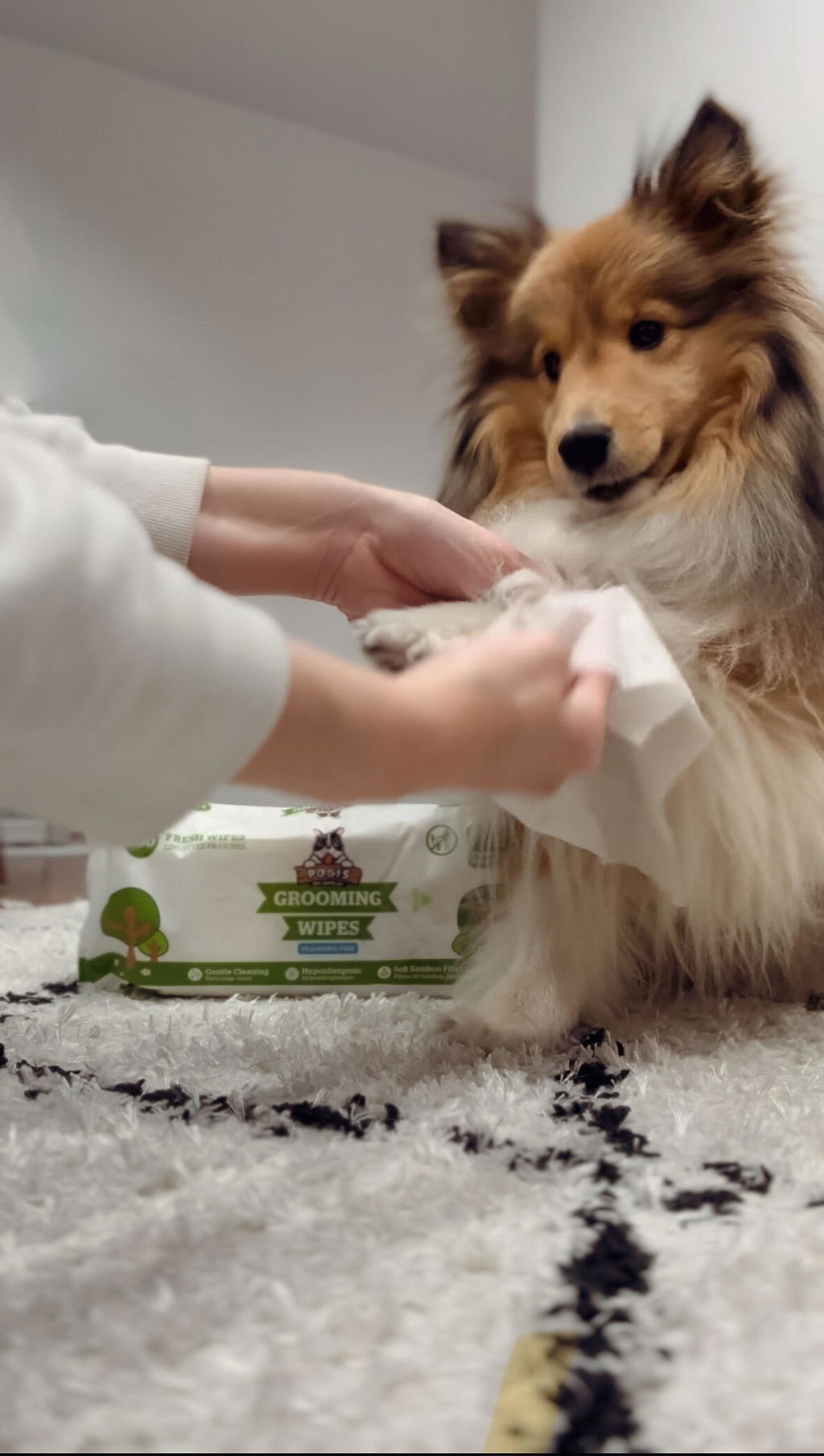April’s photo of Ava’s paw being cleaned with a wipe, with the Pogi’s pack beside her