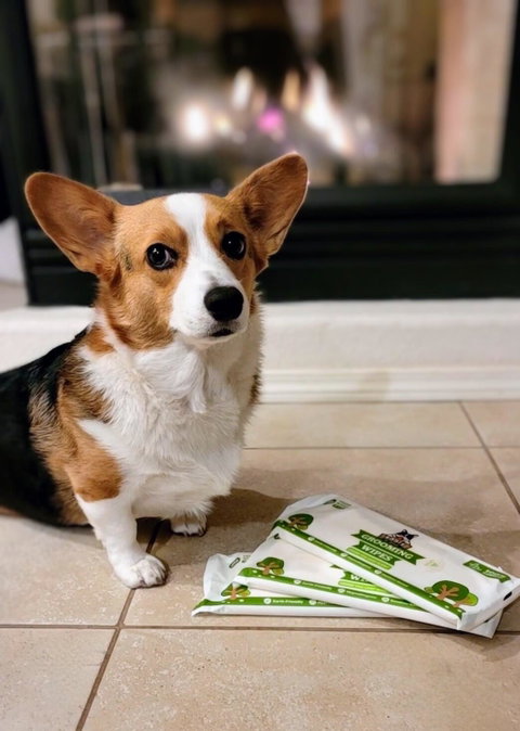A corgi beside travel packs of wipes in @sweetcorgibella’s review photo