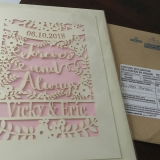 Vanessa G. review photo