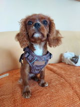 Maddy review photo