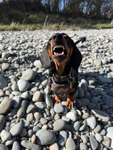 Maddy review photo