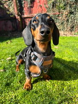 Maddy review photo