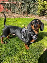 Maddy review photo