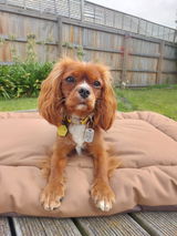 Maddy review photo
