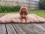 Maddy review photo