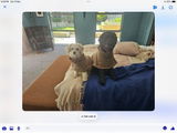 Jude review photo