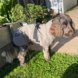 OliveE review photo