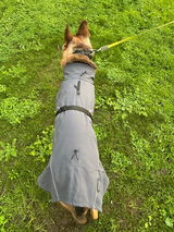 Tania review photo