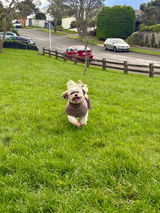 Cheryl review photo