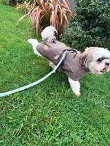 Cheryl review photo