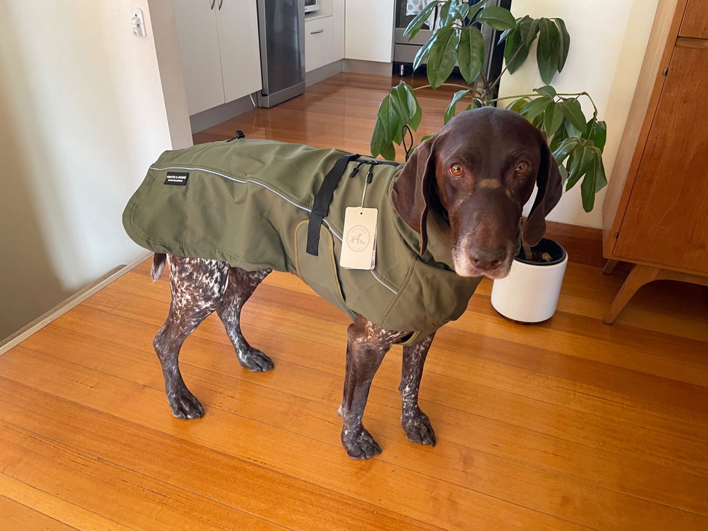 Waterproof Jacket - Green