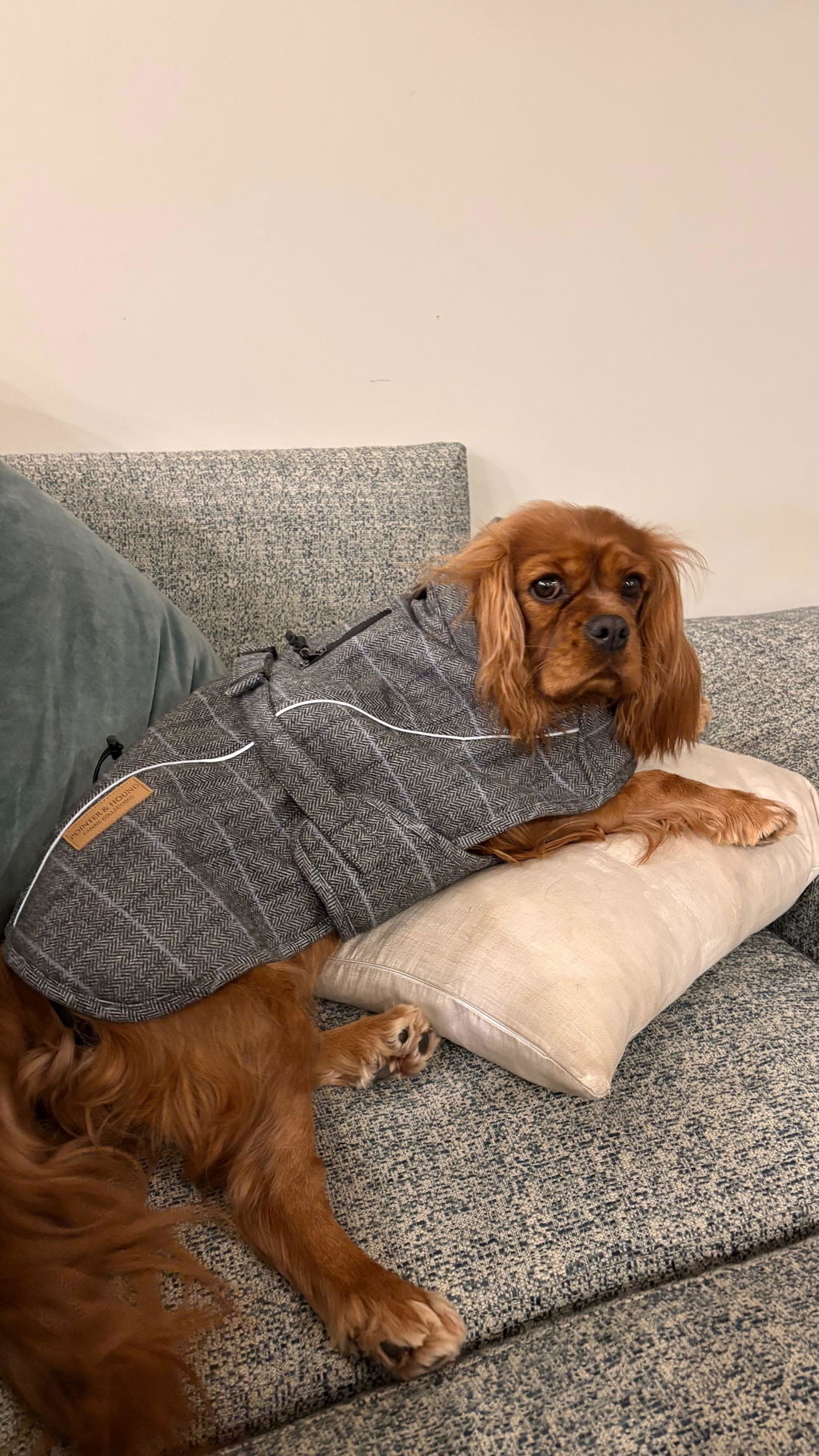 Highland Coat - Grey