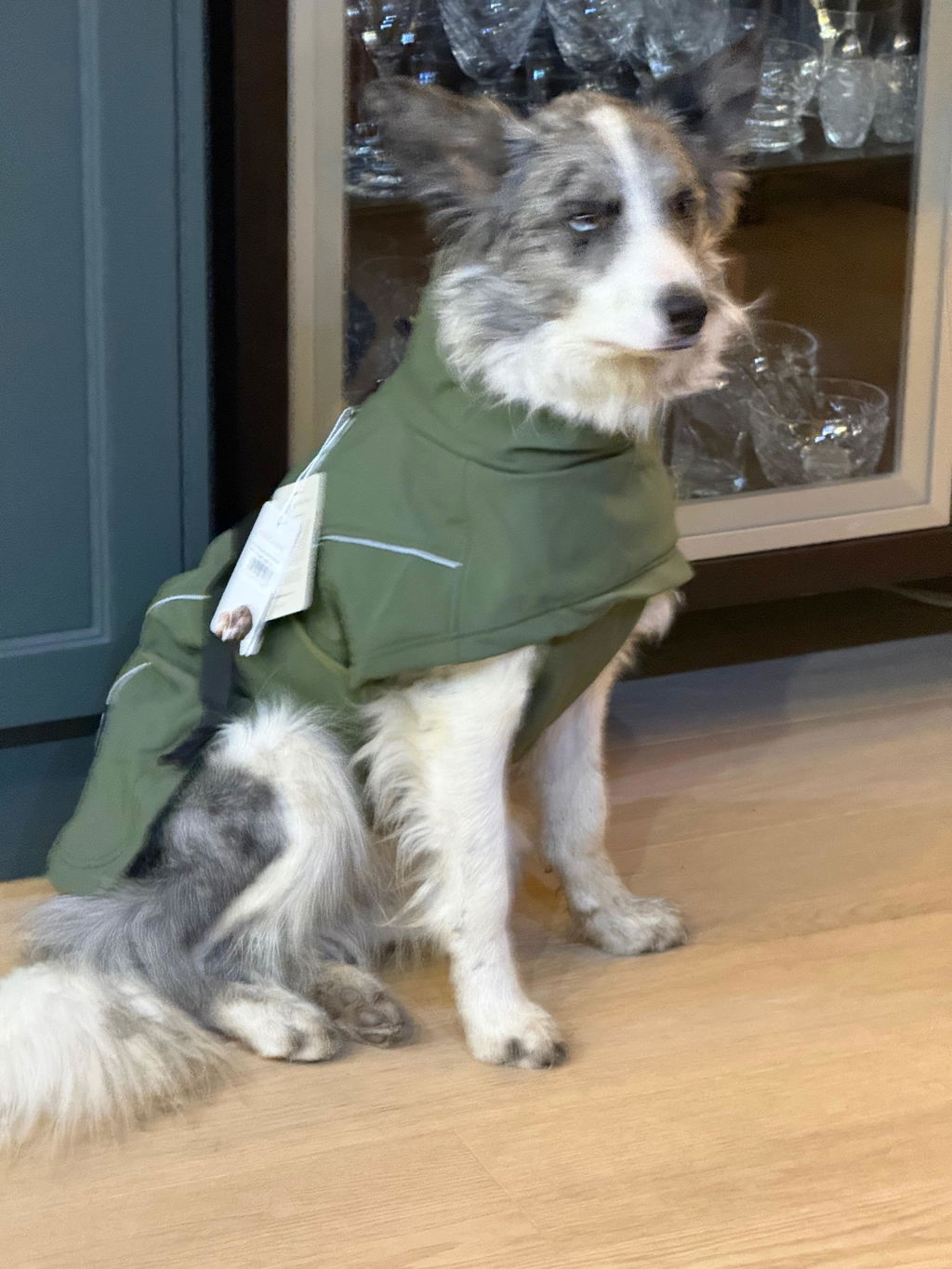 Waterproof Jacket - Mushroom