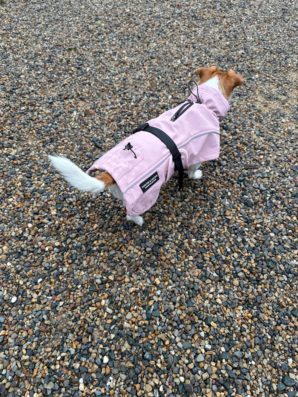 Waterproof Jacket - Pink