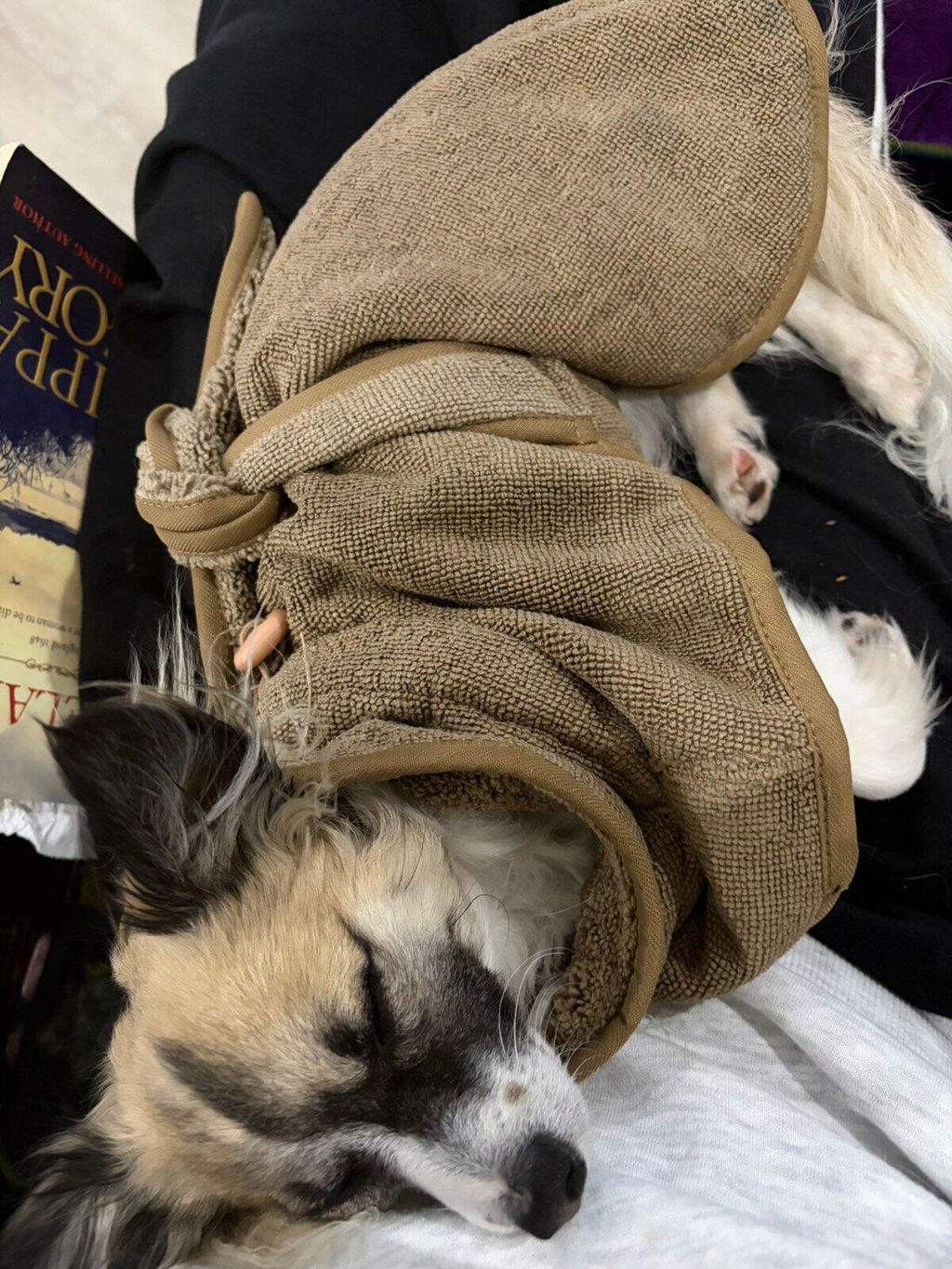 Drying Coat