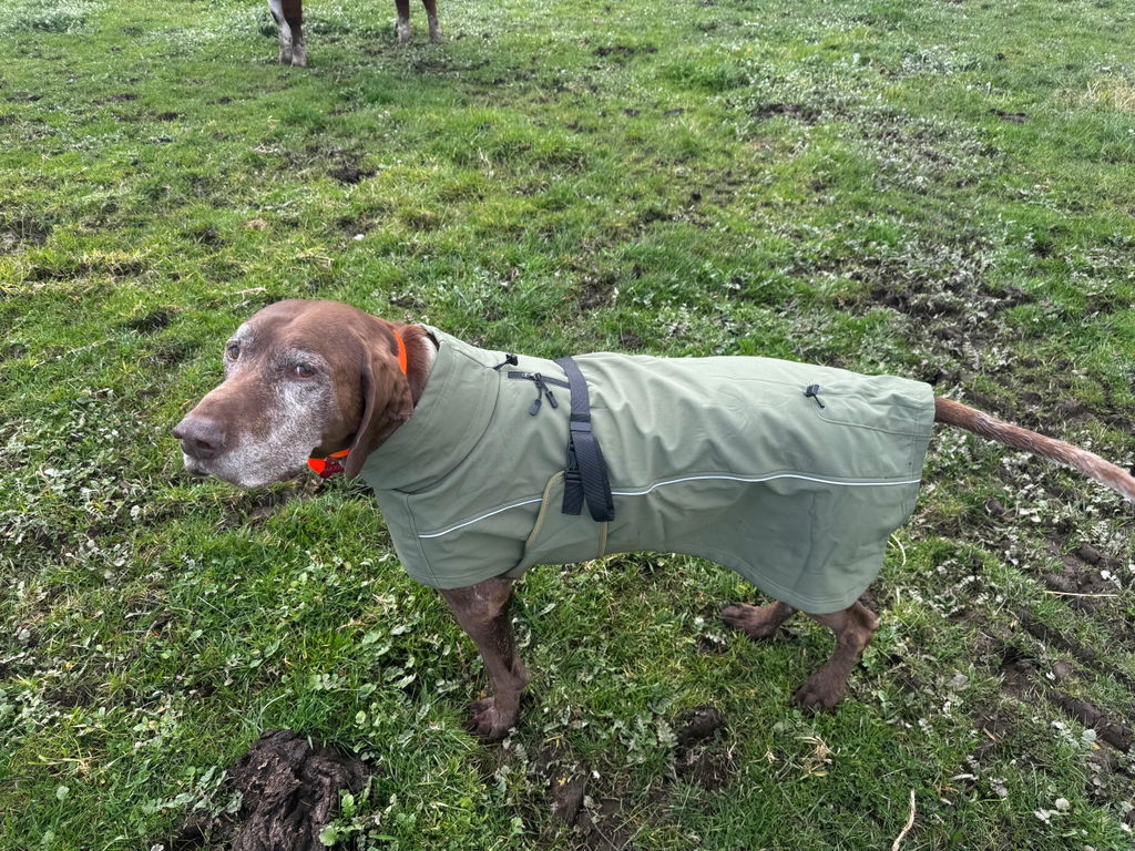 Waterproof Jacket - Green