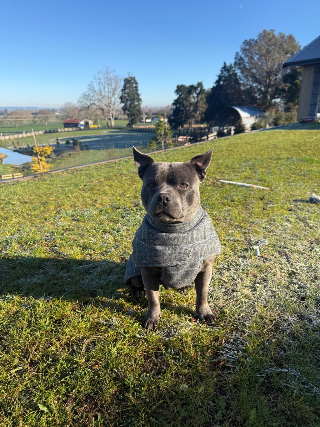 Highland Coat - Grey